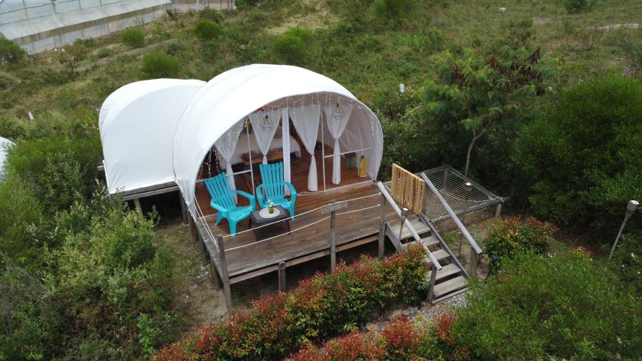 Origen Glamping En 비야 데 레이바 외부 사진